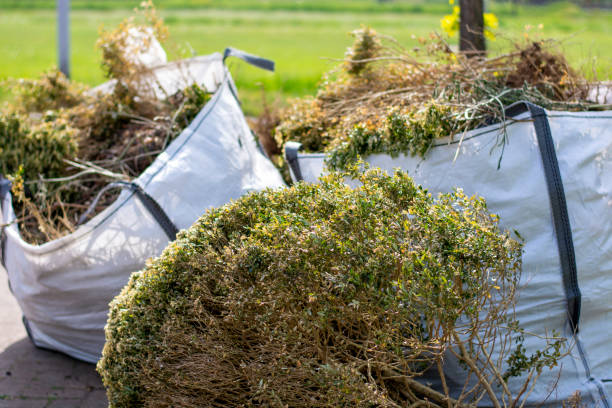 Best Basement Cleanout Services  in Sheffield, IA